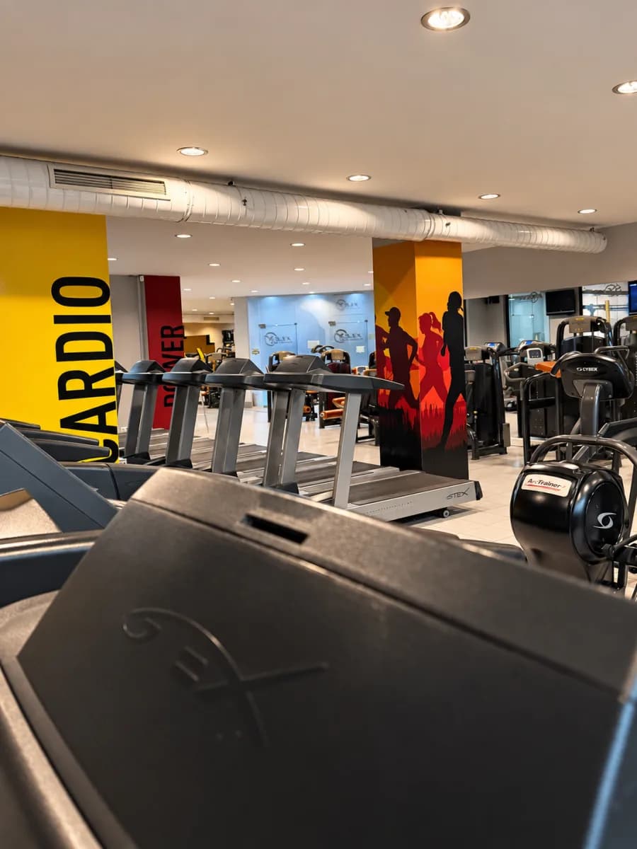 FLEX Health Club Ataşehir kardiyo alanı