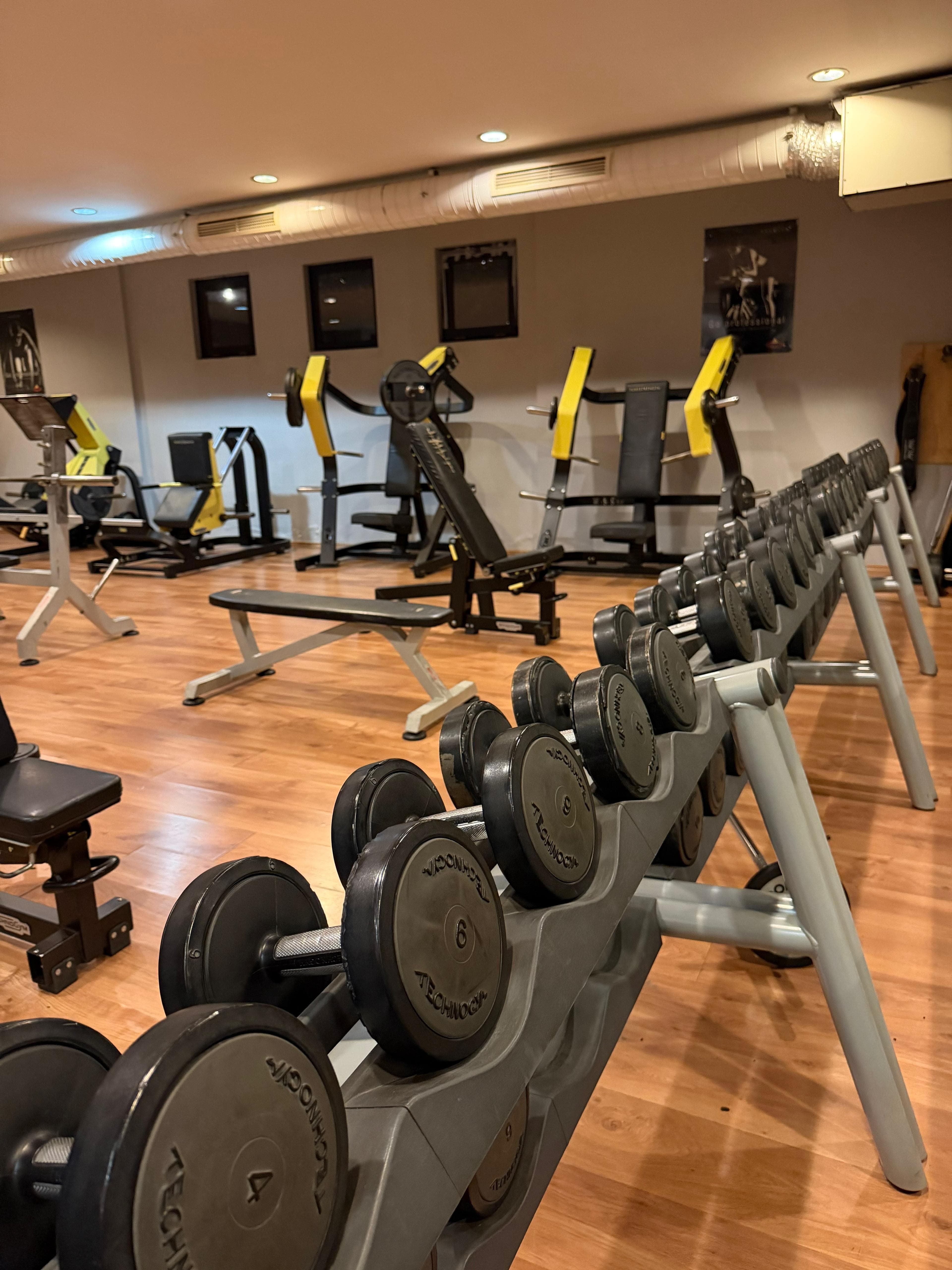 FLEX Health Club dumbbell alanı